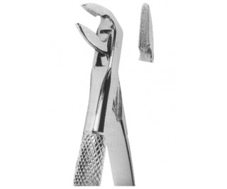 Extracting Forceps English pattern